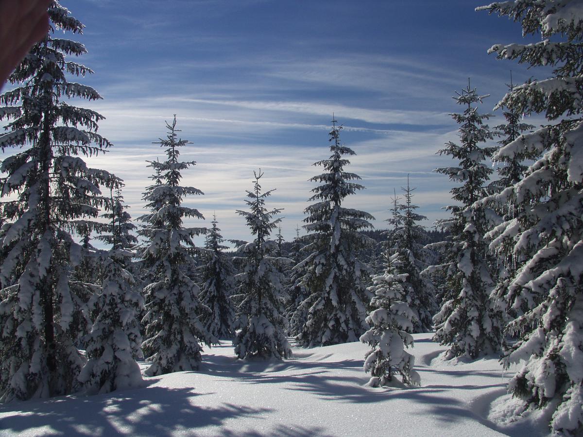 Penzion U Candru Vyšší Brod Buitenkant foto